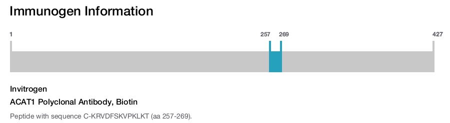 ACAT1 Polyclonal Antibody, Biotin