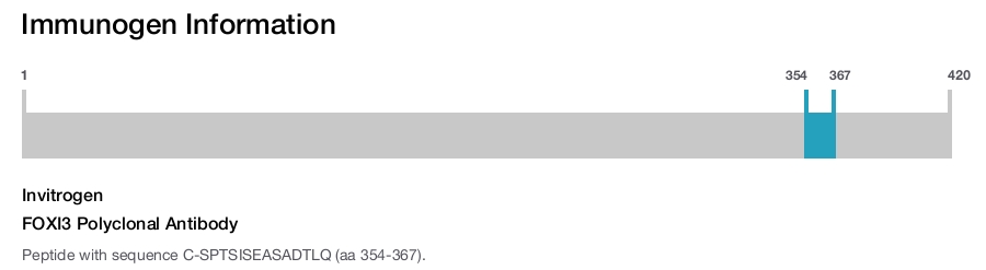 FOXI3 Polyclonal Antibody