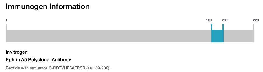 Ephrin A5 Polyclonal Antibody