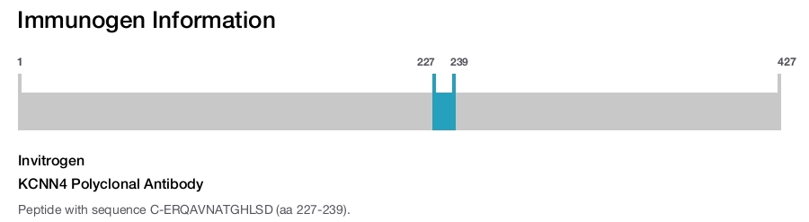 KCNN4 Polyclonal Antibody