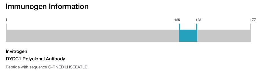 DYDC1 Polyclonal Antibody