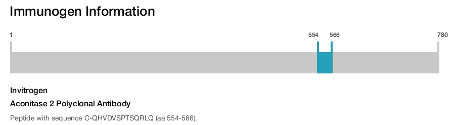 Aconitase 2 Polyclonal Antibody