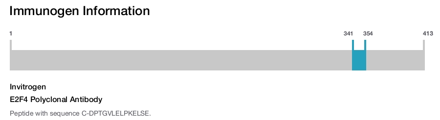 E2F4 Polyclonal Antibody