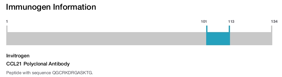 CCL21 Polyclonal Antibody