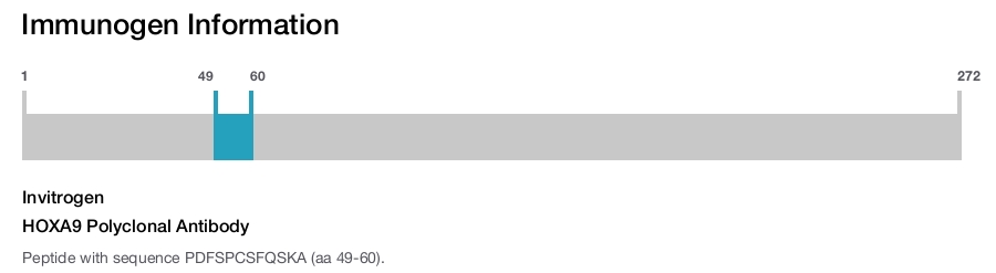 HOXA9 Polyclonal Antibody
