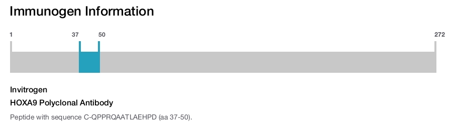 HOXA9 Polyclonal Antibody