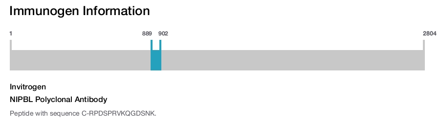 NIPBL Polyclonal Antibody