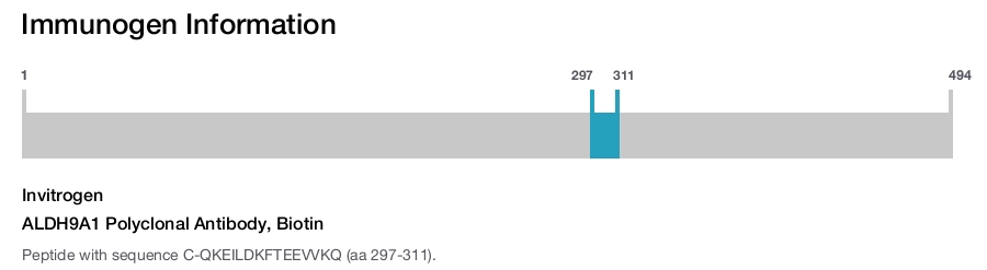 ALDH9A1 Polyclonal Antibody, Biotin