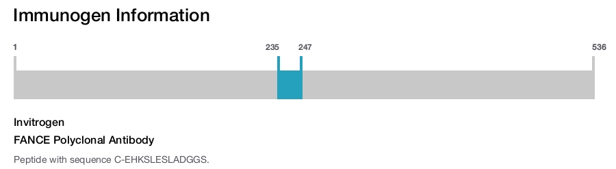 FANCE Polyclonal Antibody