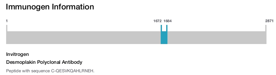Desmoplakin Polyclonal Antibody