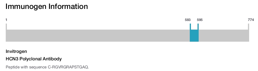 HCN3 Polyclonal Antibody