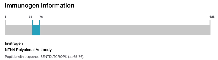 NTN4 Polyclonal Antibody