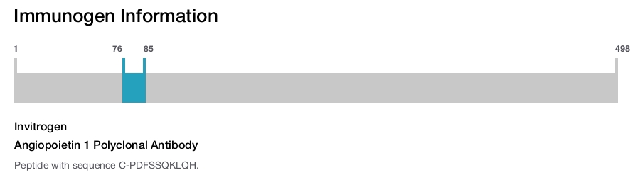 Angiopoietin 1 Polyclonal Antibody