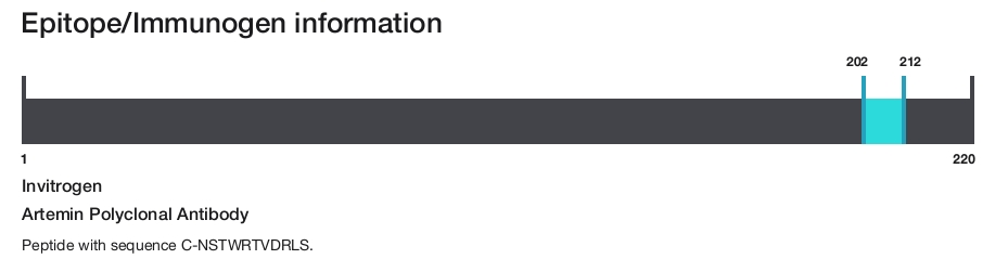 Artemin Polyclonal Antibody