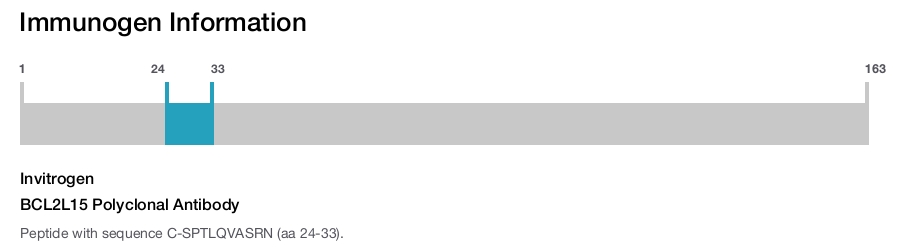 BCL2L15 Polyclonal Antibody