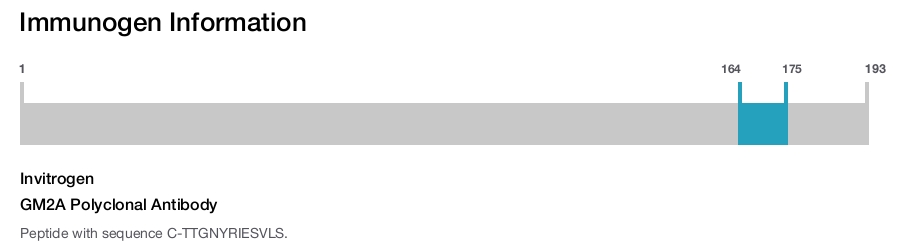 GM2A Polyclonal Antibody