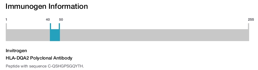 HLA-DQA2 Polyclonal Antibody