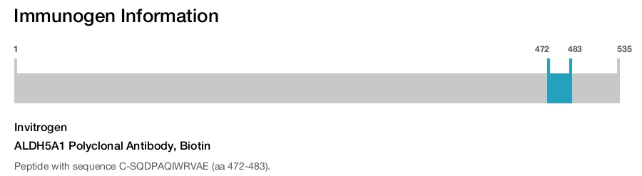 ALDH5A1 Polyclonal Antibody, Biotin