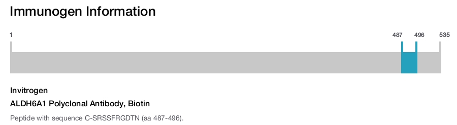 ALDH6A1 Polyclonal Antibody, Biotin