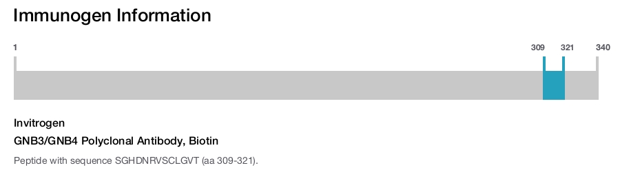 GNB3/GNB4 Polyclonal Antibody, Biotin