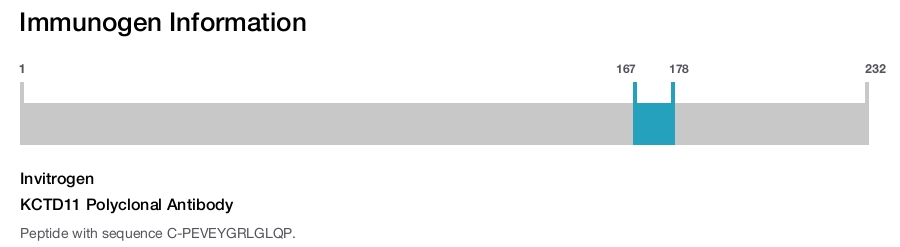 KCTD11 Polyclonal Antibody
