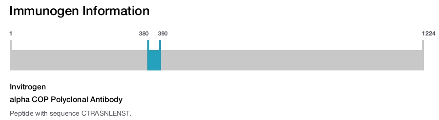 alpha COP Polyclonal Antibody