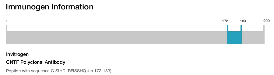 CNTF Polyclonal Antibody