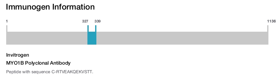 MYO1B Polyclonal Antibody