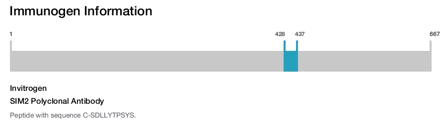 SIM2 Polyclonal Antibody