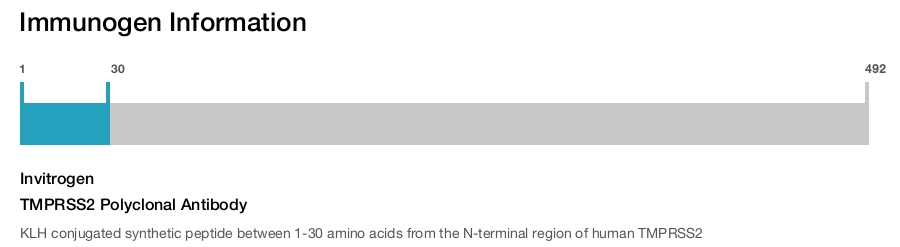 TMPRSS2 Polyclonal Antibody