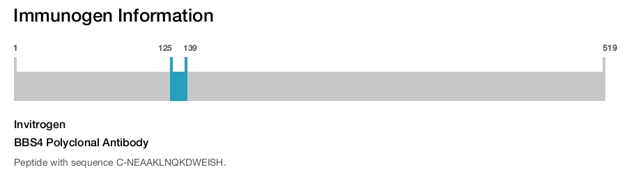 BBS4 Polyclonal Antibody