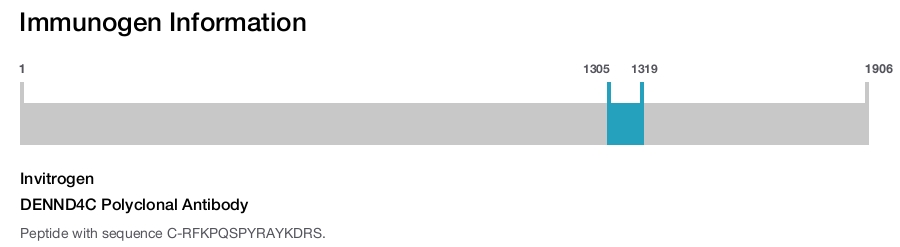 DENND4C Polyclonal Antibody