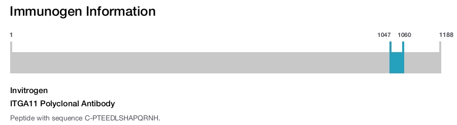 ITGA11 Polyclonal Antibody