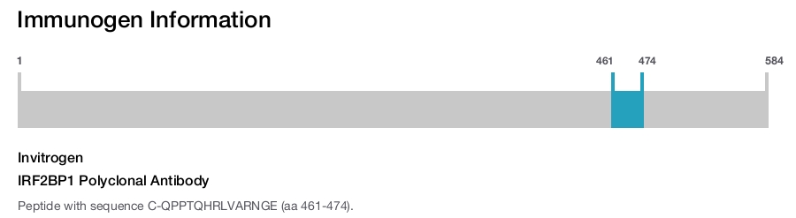 IRF2BP1 Polyclonal Antibody
