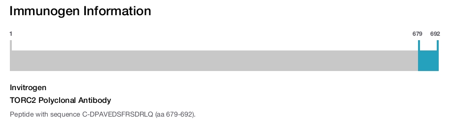 TORC2 Polyclonal Antibody