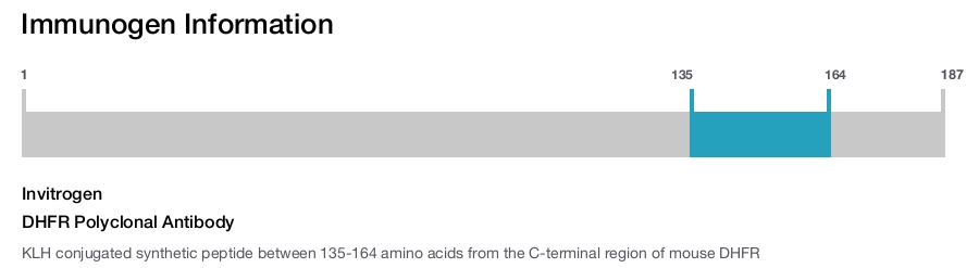 DHFR Polyclonal Antibody