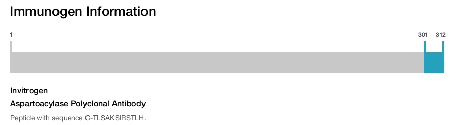 Aspartoacylase Polyclonal Antibody