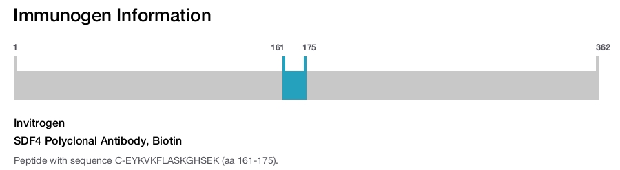 SDF4 Polyclonal Antibody, Biotin