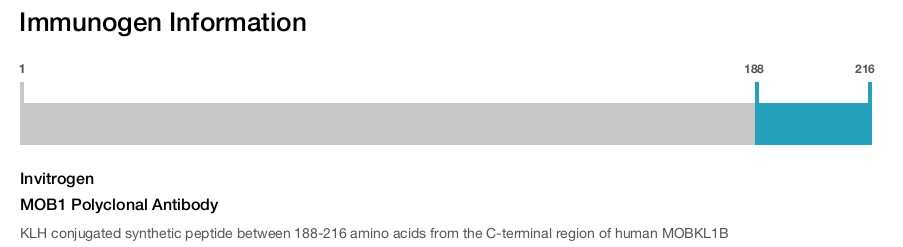 MOB1 Polyclonal Antibody