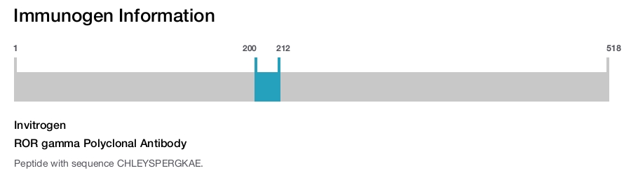 ROR gamma Polyclonal Antibody