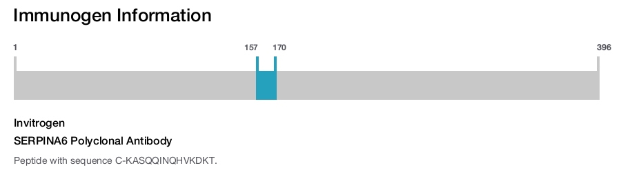 SERPINA6 Polyclonal Antibody
