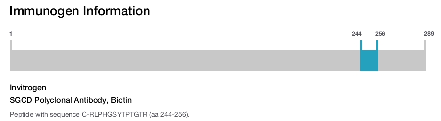 SGCD Polyclonal Antibody, Biotin