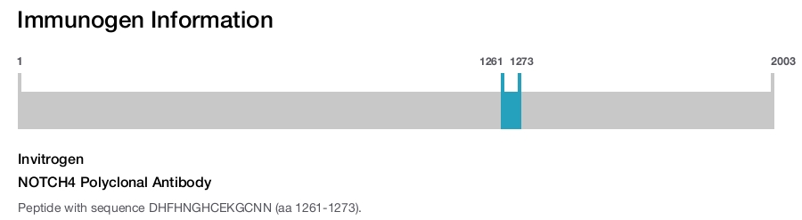 NOTCH4 Polyclonal Antibody