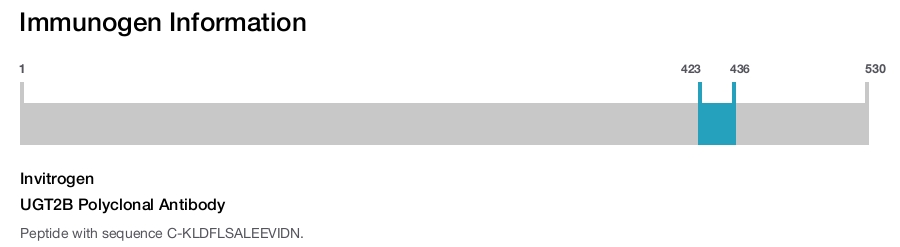 UGT2B Polyclonal Antibody