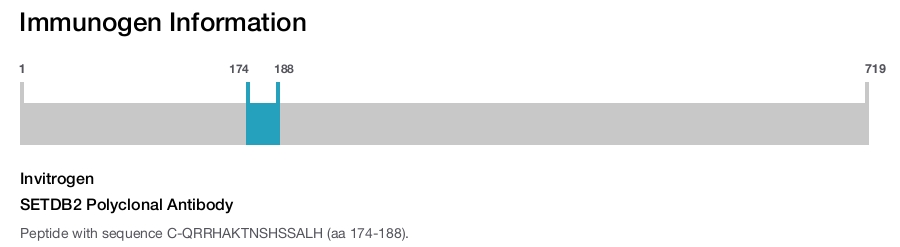 SETDB2 Polyclonal Antibody