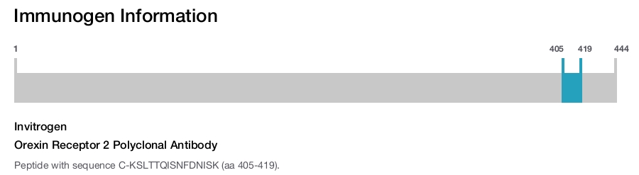 Orexin Receptor 2 Polyclonal Antibody