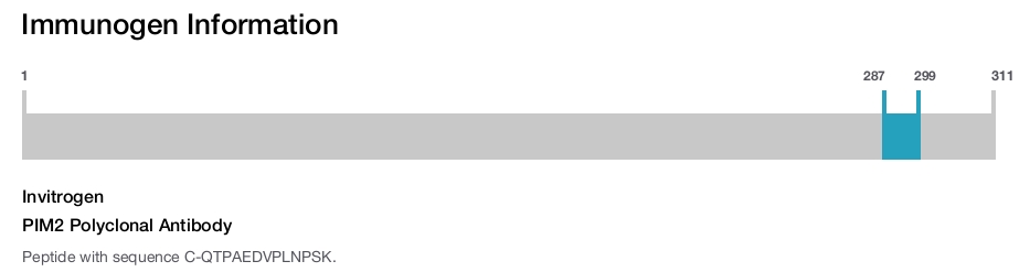 PIM2 Polyclonal Antibody