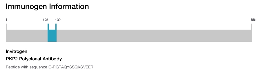 PKP2 Polyclonal Antibody