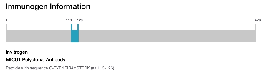MICU1 Polyclonal Antibody