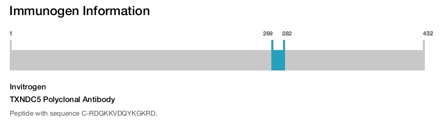 TXNDC5 Polyclonal Antibody